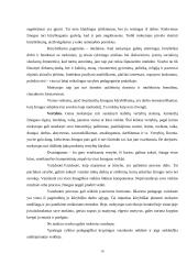 Stresas mokytojo darbe 14 puslapis