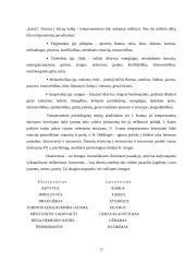 Stresas mokytojo darbe 20 puslapis