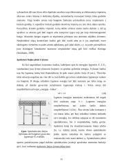 Lazeriai ir fraktalinė šviesa 13 puslapis