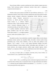 Lazeriai ir fraktalinė šviesa 14 puslapis