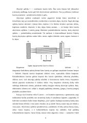 Lazeriai ir fraktalinė šviesa 7 puslapis