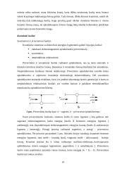 Lazeriai ir fraktalinė šviesa 8 puslapis