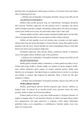 Šunų dresavimo ir vedžiojimo aikštelių įrengimas 11 puslapis