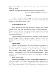 Šunų dresavimo ir vedžiojimo aikštelių įrengimas 17 puslapis