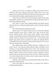 Šunų dresavimo ir vedžiojimo aikštelių įrengimas 3 puslapis