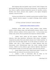 Šunų dresavimo ir vedžiojimo aikštelių įrengimas 4 puslapis