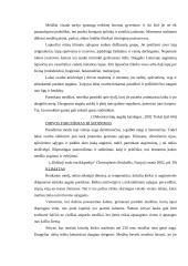 Šunų dresavimo ir vedžiojimo aikštelių įrengimas 10 puslapis