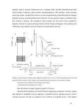 Lazerių veikimas 16 puslapis