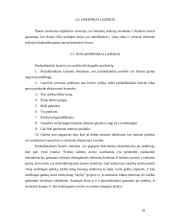 Lazerių veikimas 18 puslapis