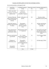 Lengvųjų automobilių pakabos remonto baro technologinis projektas 20 puslapis