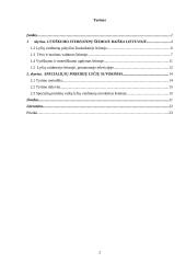 Lyčių suvokimo ypatumai 2 puslapis