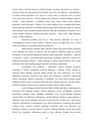 Lyčių suvokimo ypatumai 13 puslapis