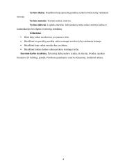 Lyčių suvokimo ypatumai 4 puslapis