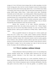 Lyčių suvokimo ypatumai 7 puslapis