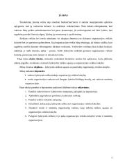 Lyderystės raiškos sąsajos su organizacijos veiklos kokybe 3 puslapis