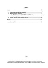 Mirties bausmė ir nusikaltimų prevencija 2 puslapis