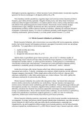 Mirties bausmė ir nusikaltimų prevencija 6 puslapis