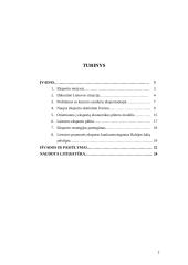 Lietuvos eksporto pobūdis ir struktūra dabartinėmis sąlygomis 2 puslapis