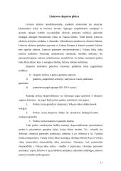 Lietuvos eksporto pobūdis ir struktūra dabartinėmis sąlygomis 17 puslapis