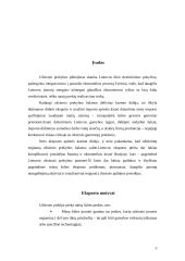 Lietuvos eksporto pobūdis ir struktūra dabartinėmis sąlygomis 3 puslapis