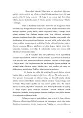 Lietuvos eksporto pobūdis ir struktūra dabartinėmis sąlygomis 6 puslapis