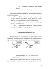 Lietuvos eksporto pobūdis ir struktūra dabartinėmis sąlygomis 9 puslapis