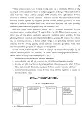 Lietuvos kelių transporto verslas ir jo perspektyvos 11 puslapis