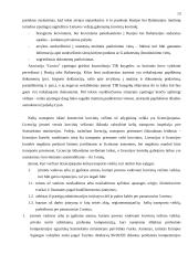 Lietuvos kelių transporto verslas ir jo perspektyvos 13 puslapis