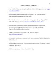 Lietuvos kelių transporto verslas ir jo perspektyvos 18 puslapis