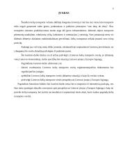 Lietuvos kelių transporto verslas ir jo perspektyvos 3 puslapis