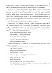 Lietuvos kelių transporto verslas ir jo perspektyvos 10 puslapis