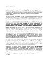 Asmens duomenų apsauga tarptautinėje ir Europos bendrijos teisėje 13 puslapis