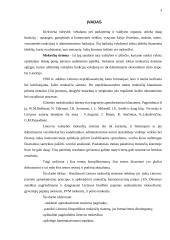 Lietuvos mokesčių sistemos reikšmė ekonomikai 2 puslapis