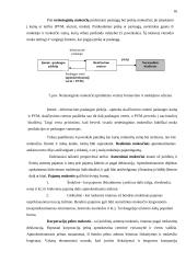 Lietuvos mokesčių sistemos reikšmė ekonomikai 15 puslapis