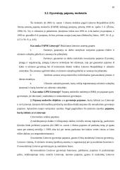 Lietuvos mokesčių sistemos reikšmė ekonomikai 17 puslapis
