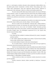 Lietuvos mokesčių sistemos reikšmė ekonomikai 4 puslapis