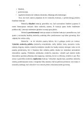 Lietuvos mokesčių sistemos reikšmė ekonomikai 5 puslapis
