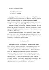 Bendravimo ypatumai ir jų formos 11 puslapis