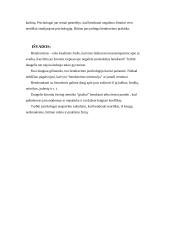 Bendravimo ypatumai ir jų formos 13 puslapis