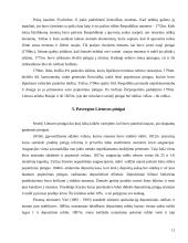 Lietuvos pinigų istorinė raida 11 puslapis