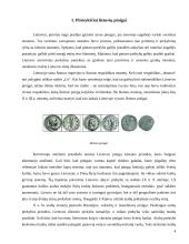 Lietuvos pinigų istorinė raida 4 puslapis