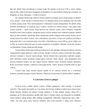 Lietuvos pinigų istorinė raida 7 puslapis