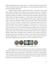 Lietuvos pinigų istorinė raida 8 puslapis