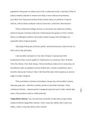 Knyga kaip medija 12 puslapis