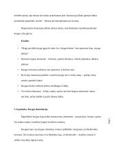 Knyga kaip medija 16 puslapis