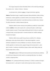 Knyga kaip medija 17 puslapis