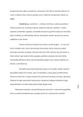 Knyga kaip medija 19 puslapis