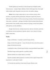 Knyga kaip medija 20 puslapis