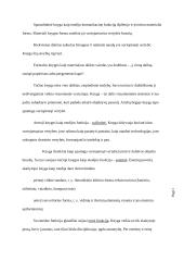 Knyga kaip medija 3 puslapis