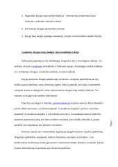 Knyga kaip medija 5 puslapis